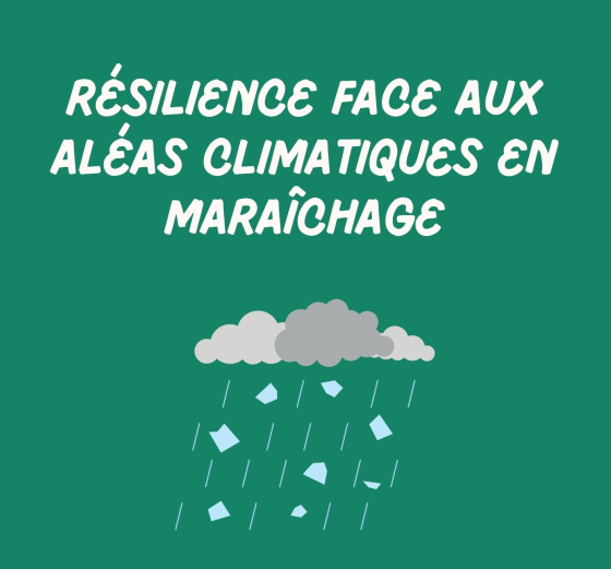 
Lien vers: https://bio-occitanie.gabtarn.fr/?LimiterPertesL%C3%A9gumes/download&file=LimiterPertesL%C3%A9gumes_3._Rsilience_face_aux_alas_climatiques_en_marachage_bio_20260916162711_20260916164039.pdf_