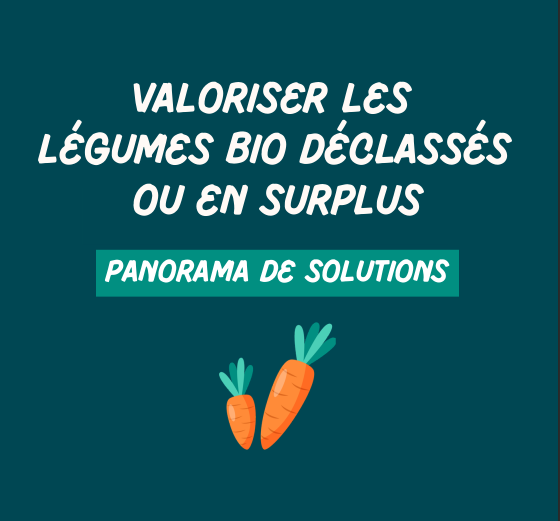 
Lien vers: https://bio-occitanie.gabtarn.fr/?LimiterPertesL%C3%A9gumes/download&file=LimiterPertesL%C3%A9gumes_6._Guide_lgumes_dclasss_ou_invendus_20260916162711_20260916164055.pdf_